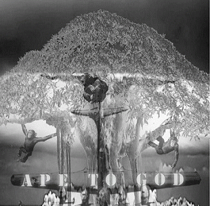 Ape To God : Ape to God